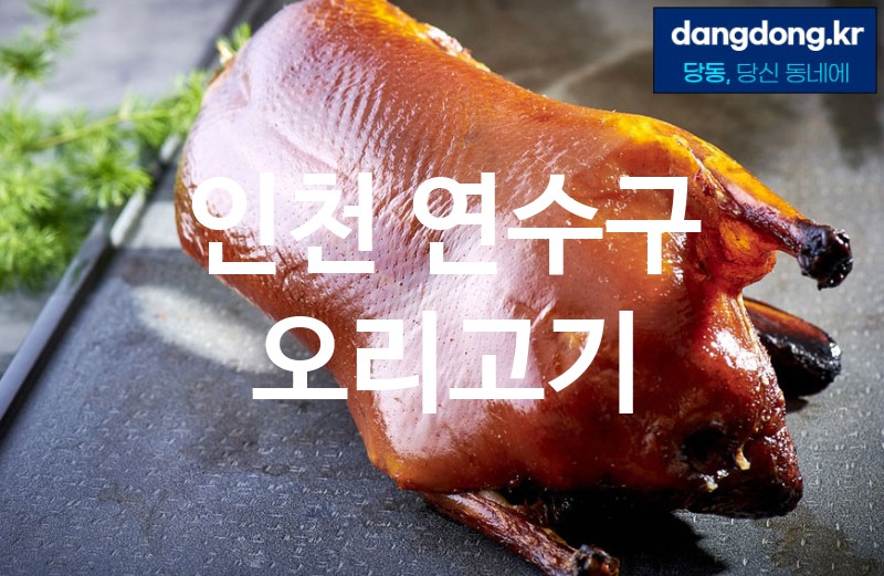 인천 연수구 오리고기 최고 친절 리뷰업체 엄선 0
