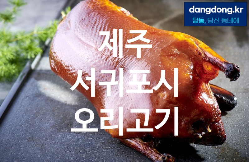 제주 서귀포시 오리고기 최고 친절 리뷰업체 엄선 0