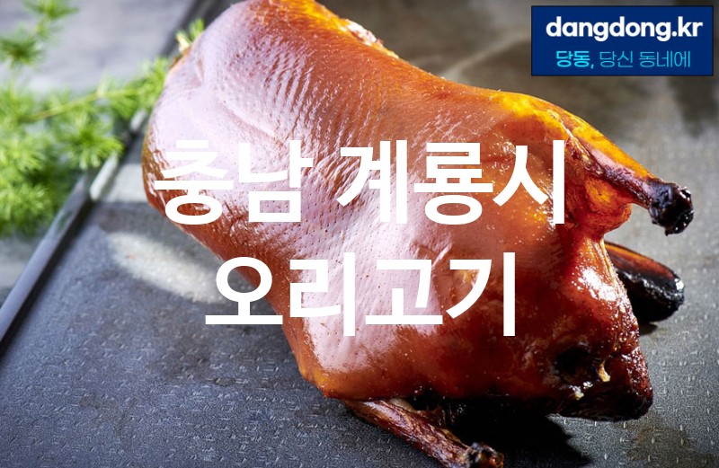 충남 계룡시 오리고기 최고 친절 리뷰업체 엄선 0