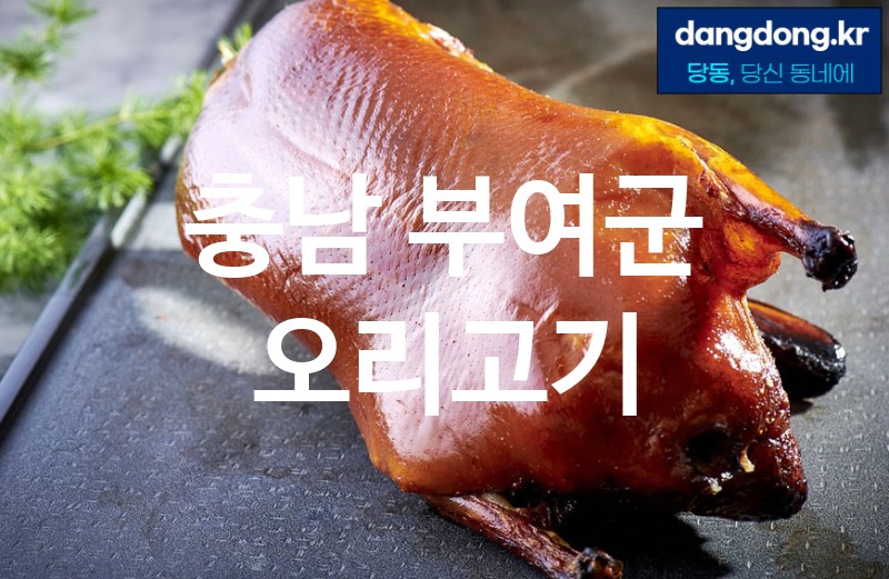 충남 부여군 오리고기 가장 전문업체 베스트추천 0