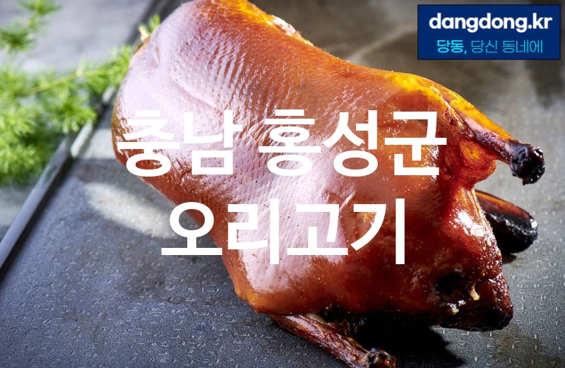 충남 홍성군 오리고기 최고 친절 리뷰업체 엄선 0