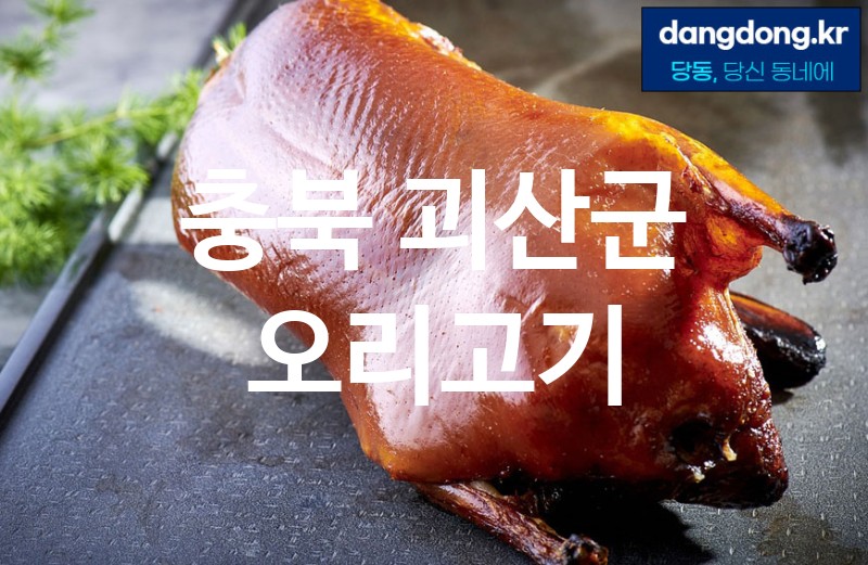 충북 괴산군 오리고기 최고 친절 리뷰업체 엄선 0