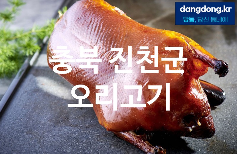 충북 진천군 오리고기 최고 친절 리뷰업체 엄선 0