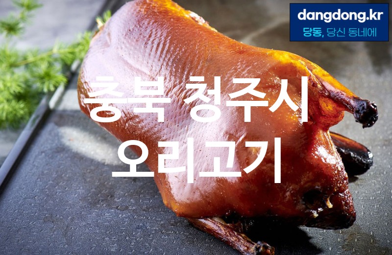 충북 청주시 오리고기 최고 친절 리뷰업체 엄선 0