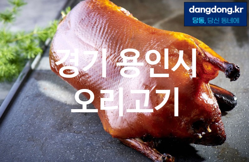 경기 용인시 오리고기 가장 전문업체 베스트추천 5
