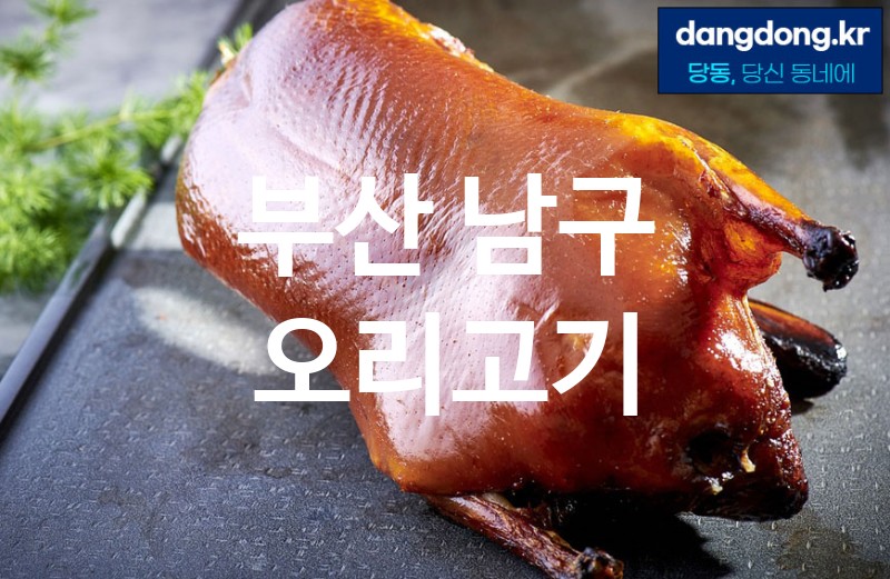 부산 남구 오리고기 최고 친절 리뷰업체 엄선 4