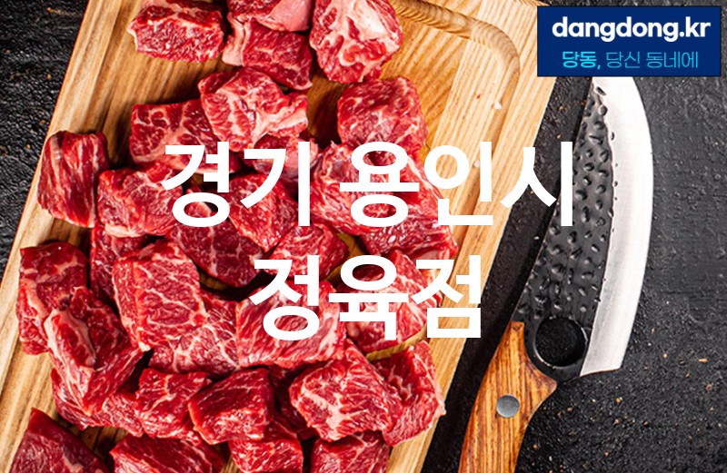 경기 용인시 정육점 최고 친절 리뷰업체 엄선 5