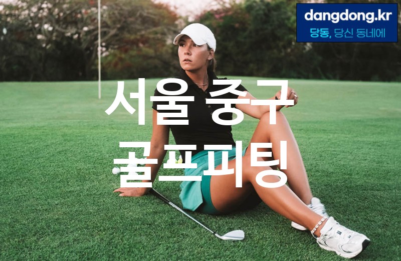 서울 중구 골프피팅 최고 친절 리뷰업체 엄선 5