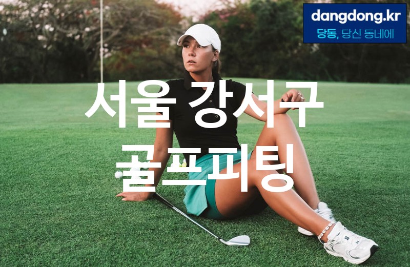 서울 강서구 골프피팅 최고 친절 리뷰업체 엄선 2