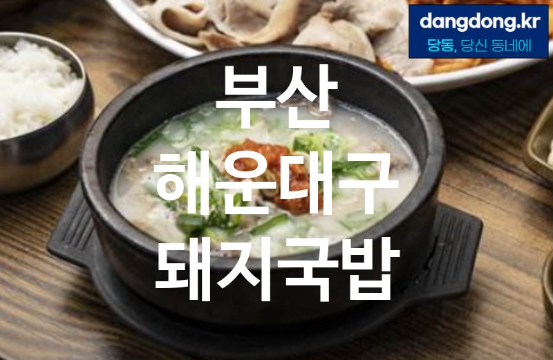 부산 해운대구 돼지국밥 최고 친절 리뷰업체 엄선 0