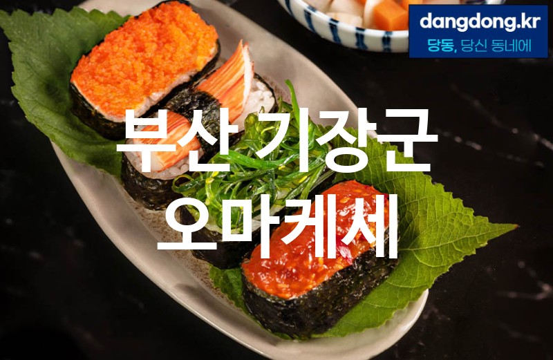 부산 기장군 오마케세 가장 전문업체 베스트추천 3