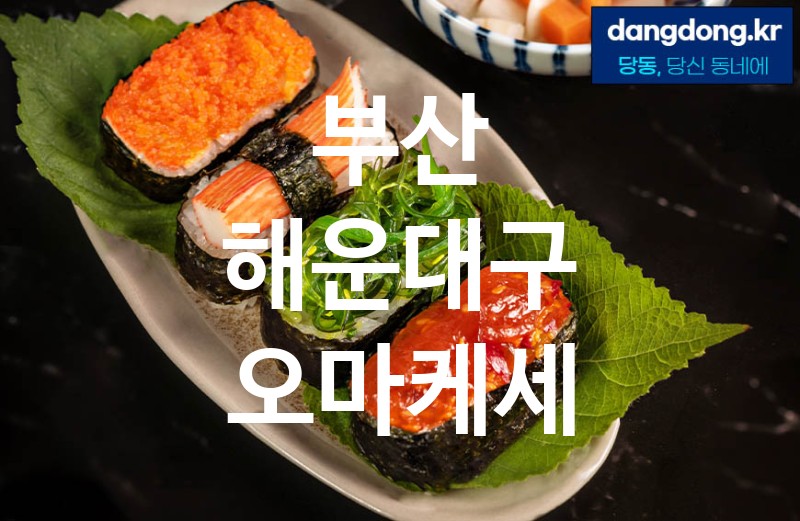 부산 해운대구 오마케세 가장 전문업체 베스트추천 5