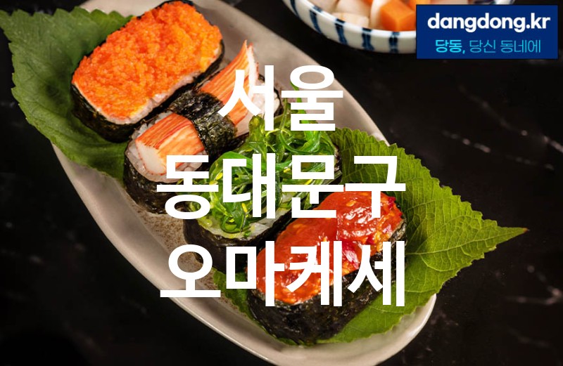 서울 동대문구 오마케세 최고 친절 리뷰업체 엄선 3