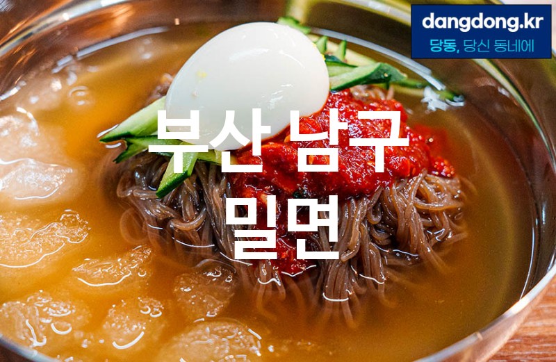 부산 남구 밀면 최고 친절 리뷰업체 엄선 5
