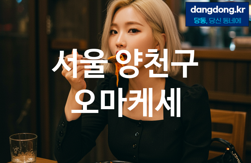 서울 양천구 오마케세 가장 전문업체 베스트추천 5